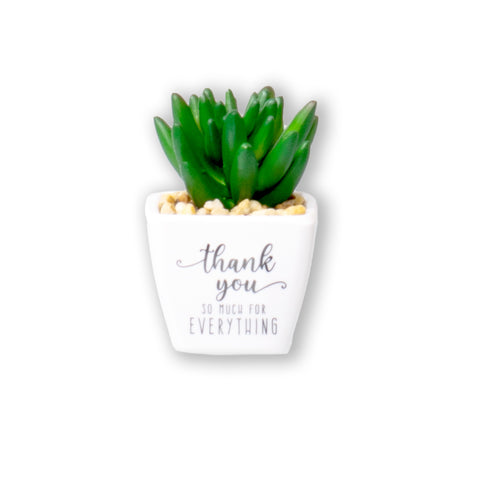Thank You Sentiment Succulents