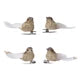 Bird w/ Glitter Feathers on Clip