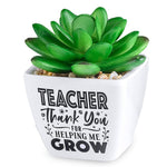 Teacher Sentiment Succulents