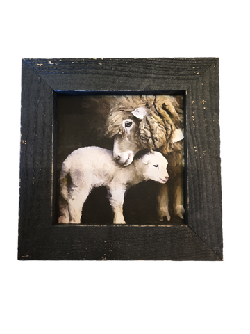 Newborn Sheep Black Frame