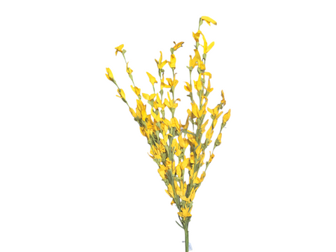 29" Paper Sprouts Bush-Yellow