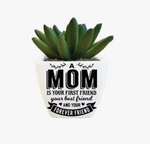 Best Mom Sentiment Succulents