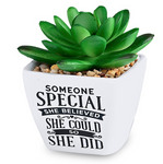 Someone Special Sentiment Succulents