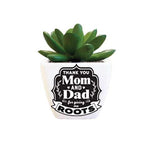 Mom & Dad Sentiment Succulents