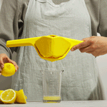 Lemon Fluicer