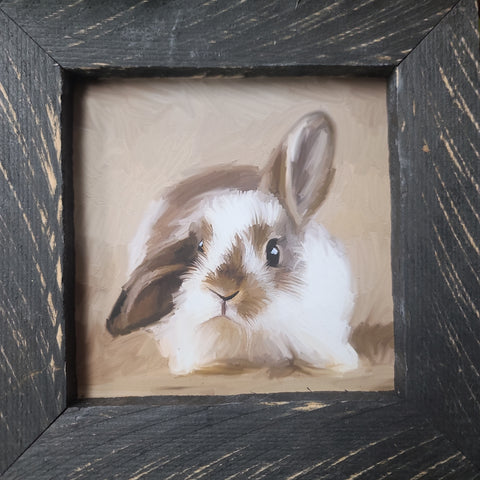 Baby Bunny Small Picture Black Frame
