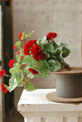 hanging geranium plants 22" Geranium Hanging Bush – Mackinaw Depot