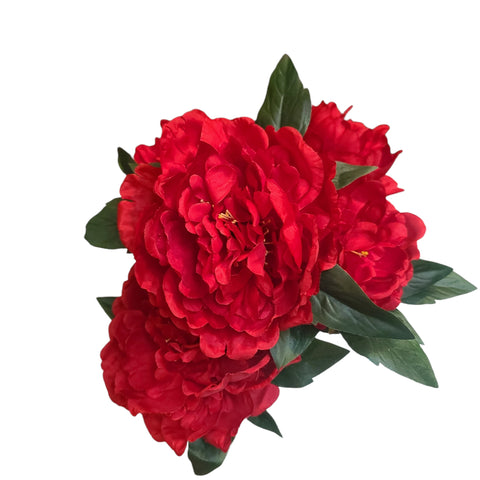 17" Peony Bush Re X5